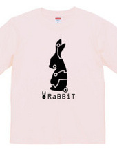 x.rabbit