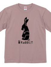 x.rabbit