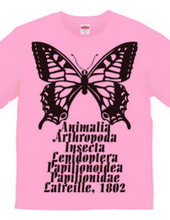 Swallowtail_B