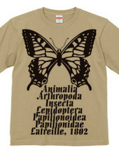 Swallowtail_B