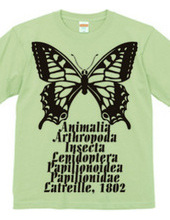 Swallowtail_B