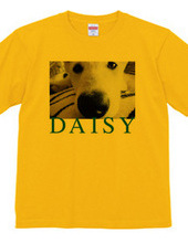 DAISY2