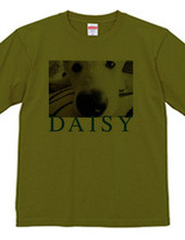 DAISY2