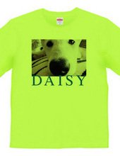 DAISY2