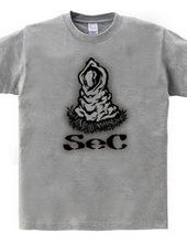 SeC-UNKNOWN