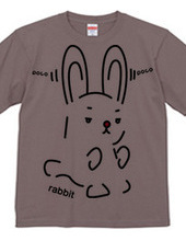 rabbit（兎）