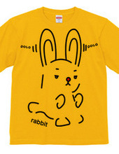 rabbit（兎）