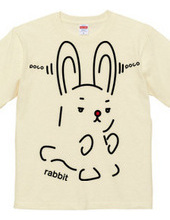 rabbit（兎）