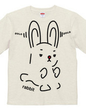 rabbit（兎）