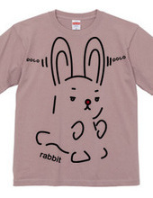 rabbit（兎）