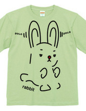 rabbit（兎）