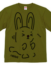 rabbit（兎＊驚く）02