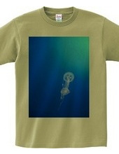 Jellyfish.