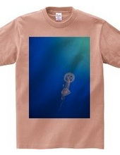 Jellyfish.