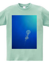 Jellyfish.