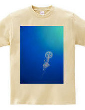 Jellyfish.