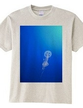 Jellyfish.