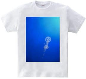 Jellyfish.