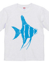 angelfish 02