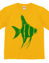 angelfish 02