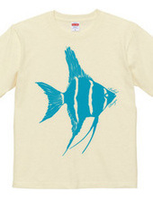 angelfish 02