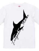 shark 01