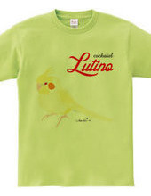 cockatiel bird lutino