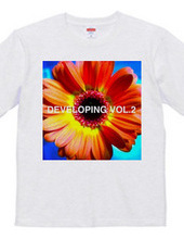 DEVELOPING COMPILATION VOL.2