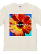 DEVELOPING COMPILATION VOL.2