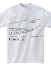Crocodile 01