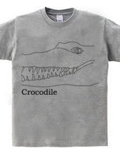 Crocodile 01