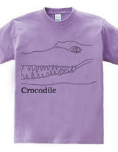 Crocodile 01