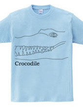 Crocodile 01