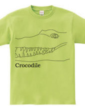 Crocodile 01