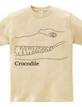 Crocodile 01