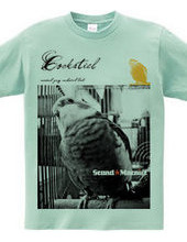 オカメインコ フォトプリントTシャツ