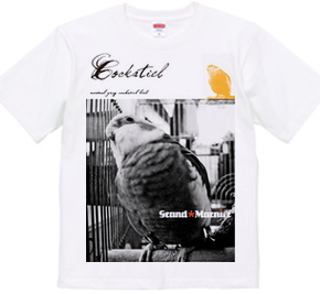 オカメインコ フォトプリントTシャツ