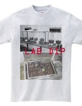 LAB DIP