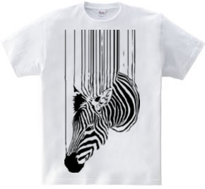 zebra.