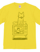 TV cat