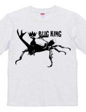 BUG KING 2