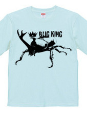 BUG KING 2