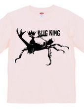 BUG KING 2