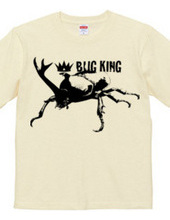 BUG KING 2