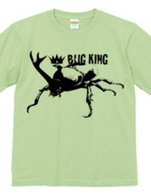 BUG KING 2