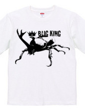 BUG KING 2