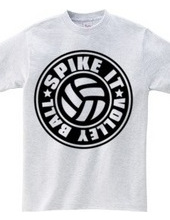 Spike_It_Volleyball