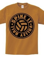 Spike_It_Volleyball