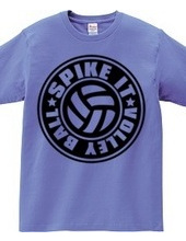 Spike_It_Volleyball