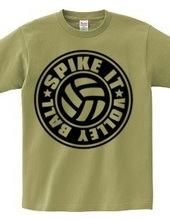 Spike_It_Volleyball